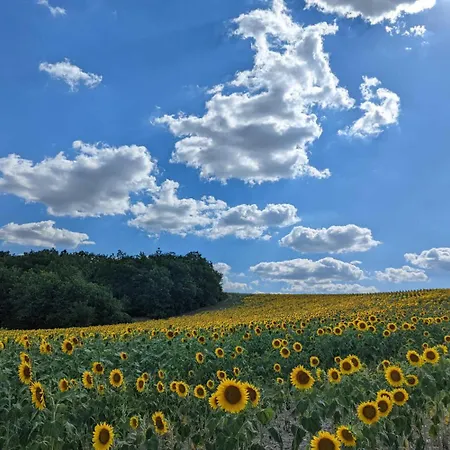 Maison Boutet 9 * Fanjeaux