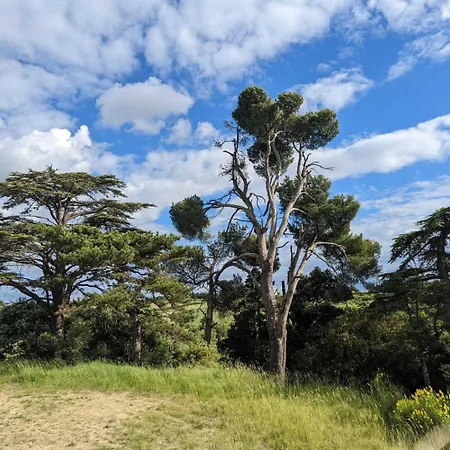 Maison Boutet 9 * Fanjeaux