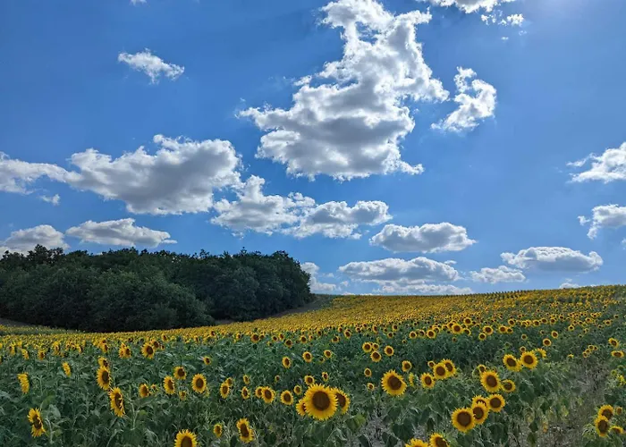 Maison Boutet 9 * Fanjeaux