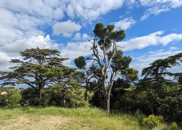 Maison Boutet 9 * Fanjeaux